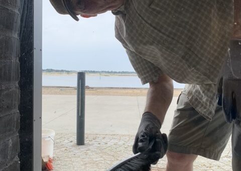 Billeder og lidt tekst om arbejdsdagen torsdag d. 20. august 2020